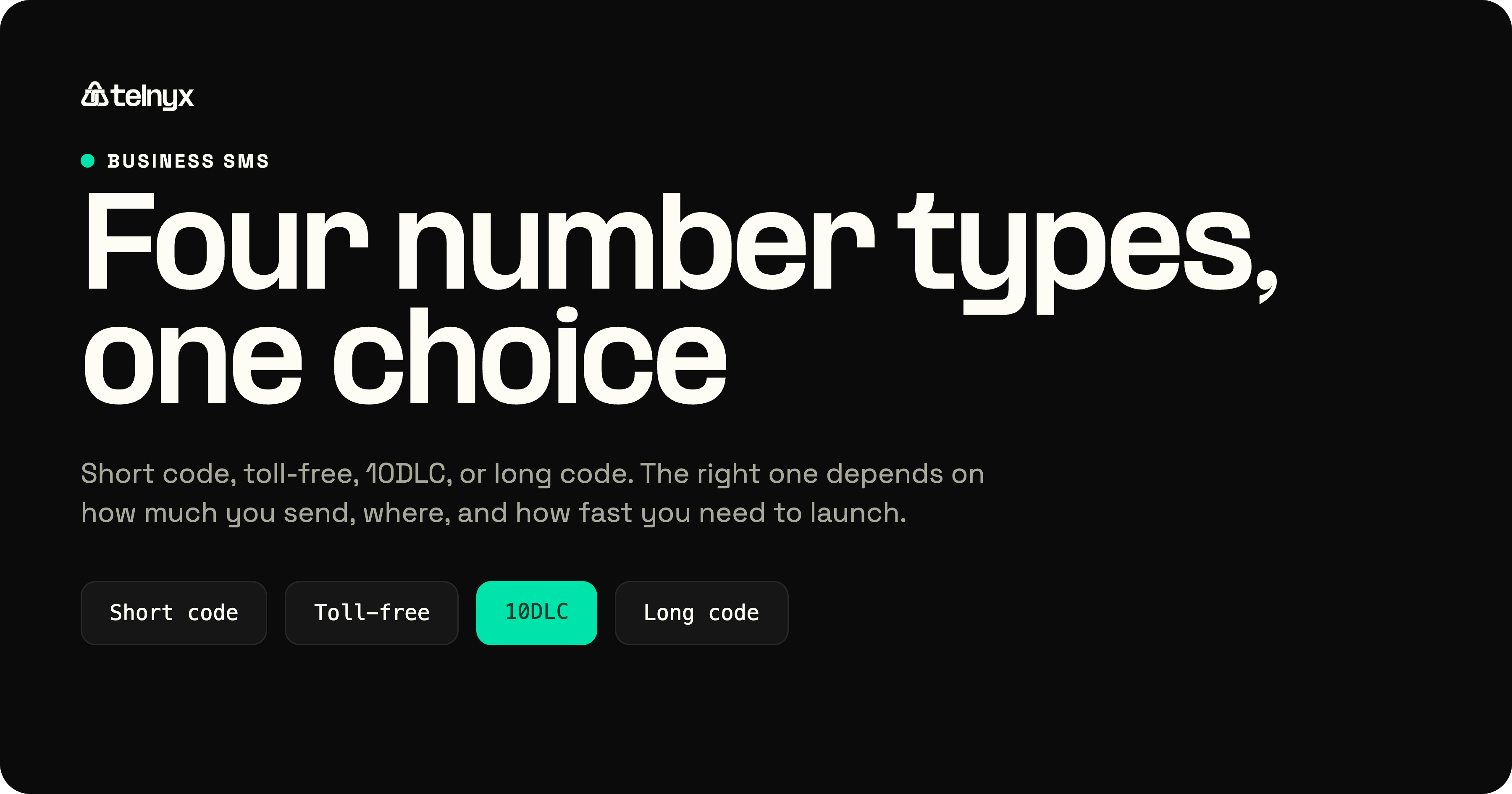 Business SMS number types